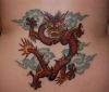 chinese dragon pic tattoo on back